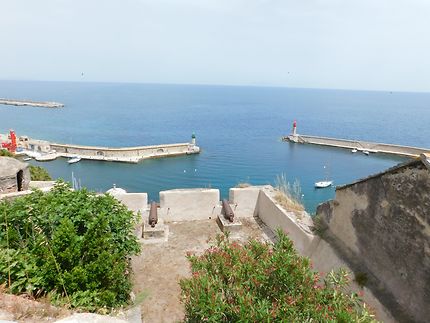 Le port de Bastia vu du palais