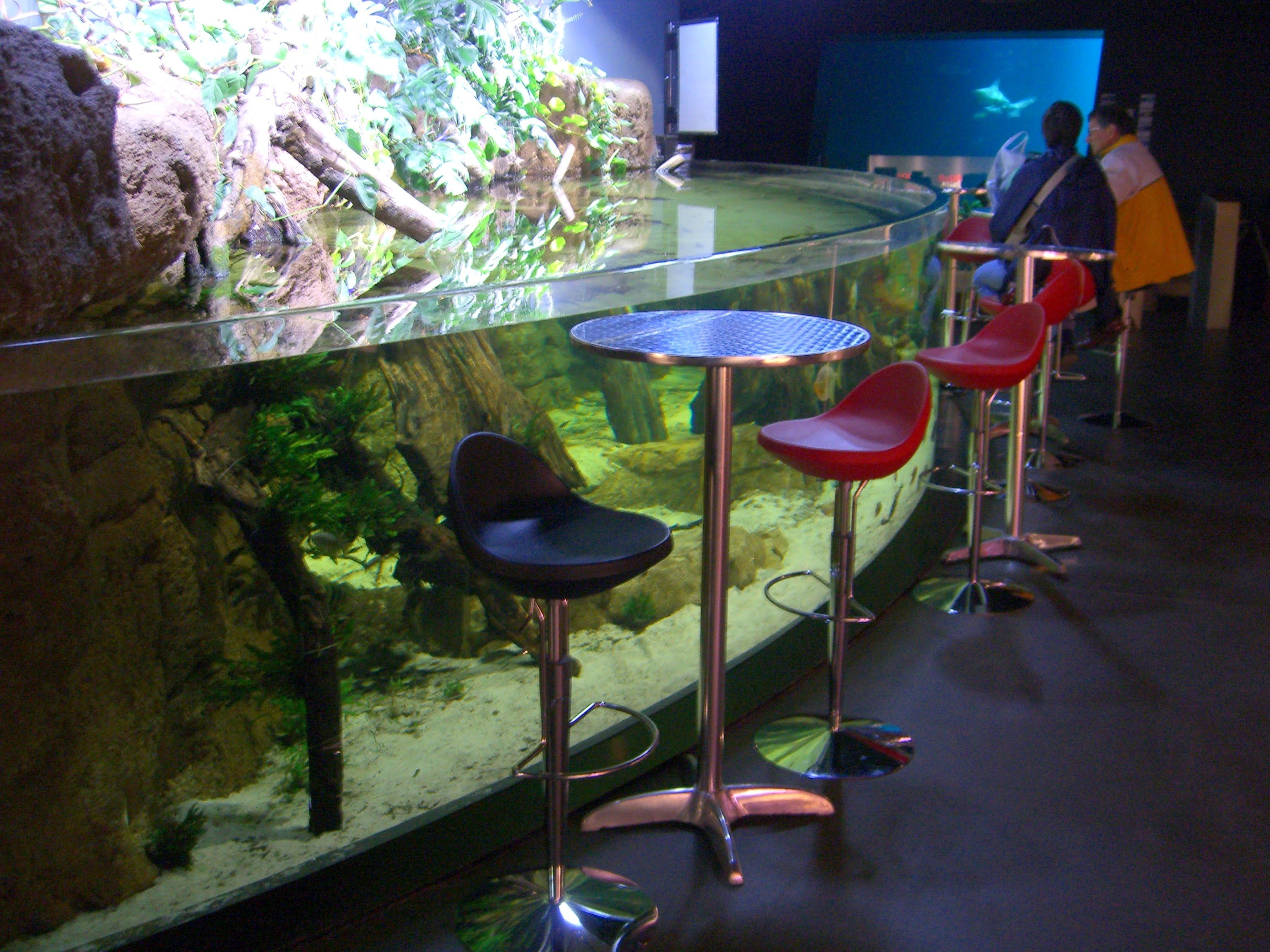 Le bar de l'Aquarium de Paris