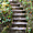 Sintra - Palais de la Regaleira - Escalier et nature