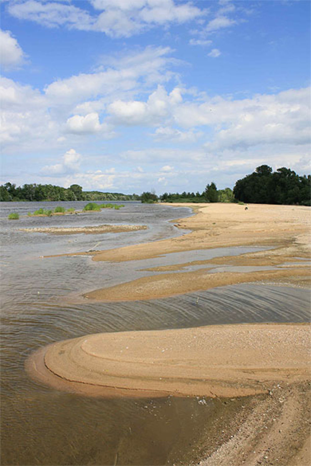 La Loire: patrimoine sauvage 