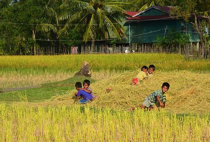 Joie des enfants des campagnes cambodgiennes