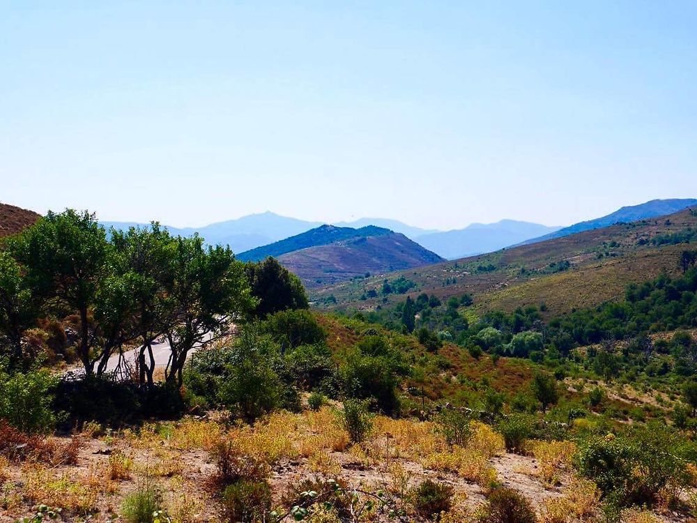 La montagne Corse