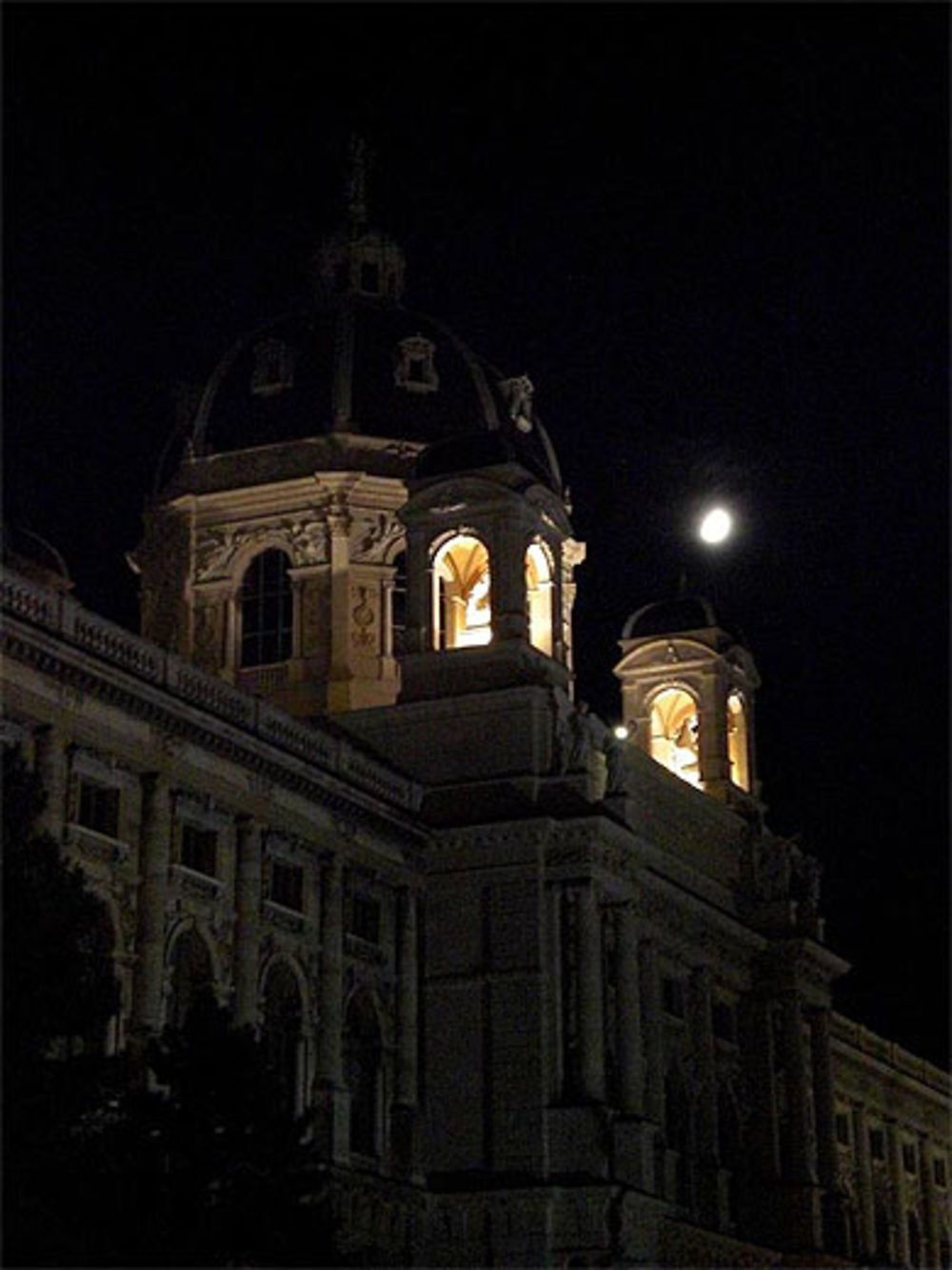 Muséeum d'histoire naturelle de nuit