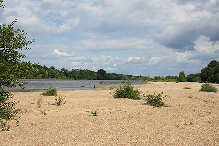 La Loire à Jargeau La Loire à Jargeau