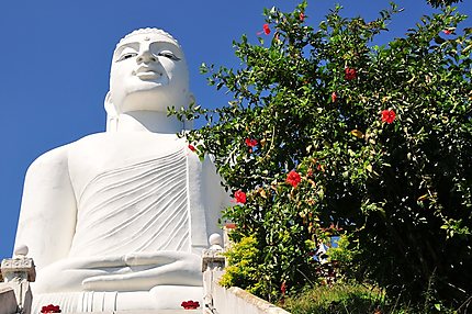 Bouddha géant