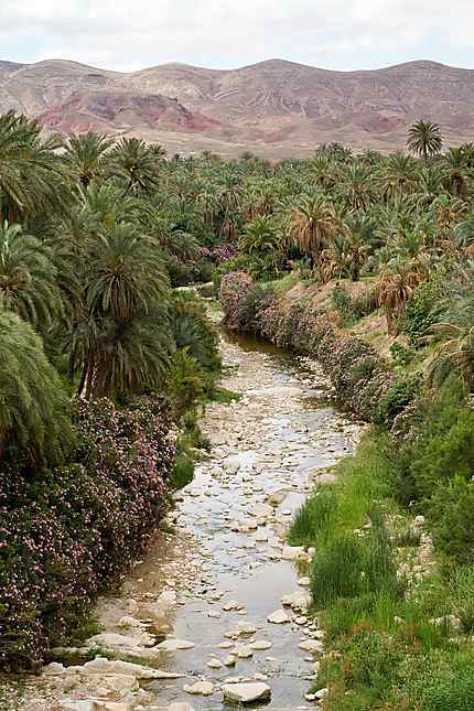 Aurès - El Kantara - Oasis