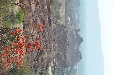 Panorama des alentours du Mont Abu