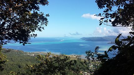 En haut d'une colline en Polynésie française