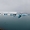 Fjallsarlón Iceberg, Islande