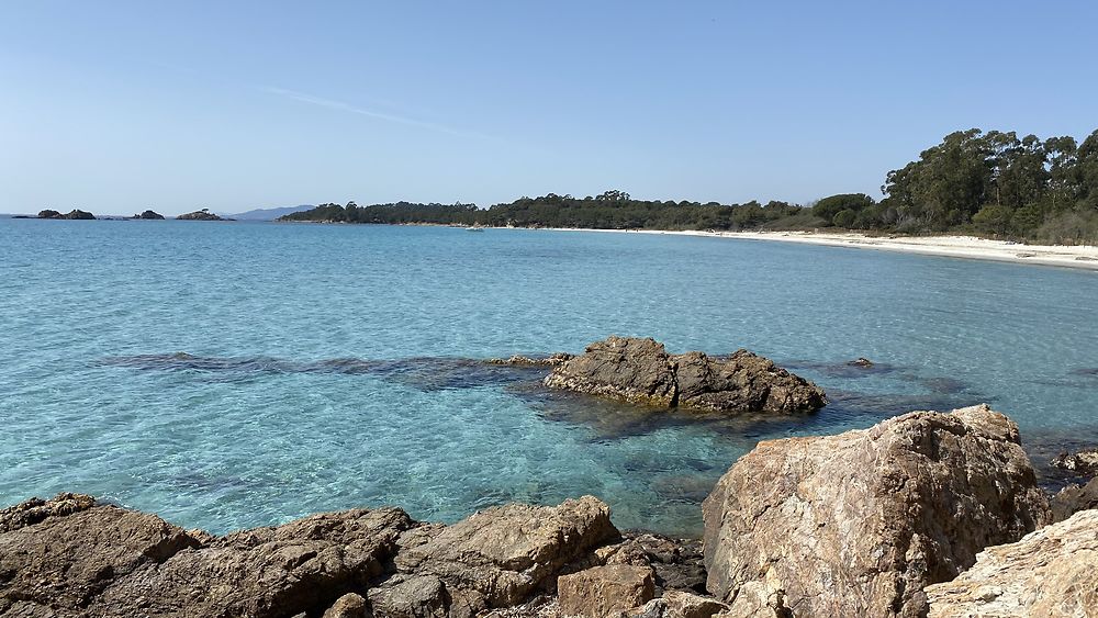 Sentier côtier à La Londe-les-Maures