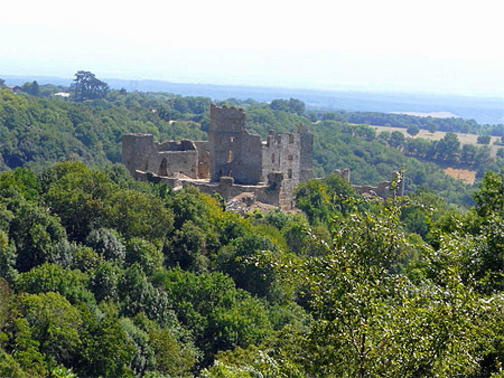 Château de Saissac