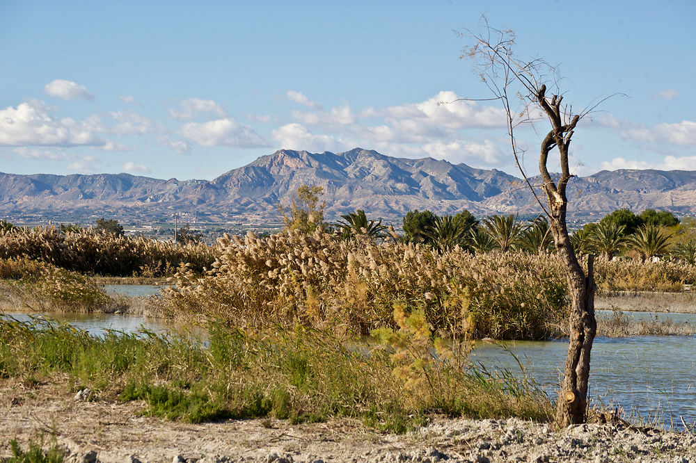 La Sierra de Crevillente