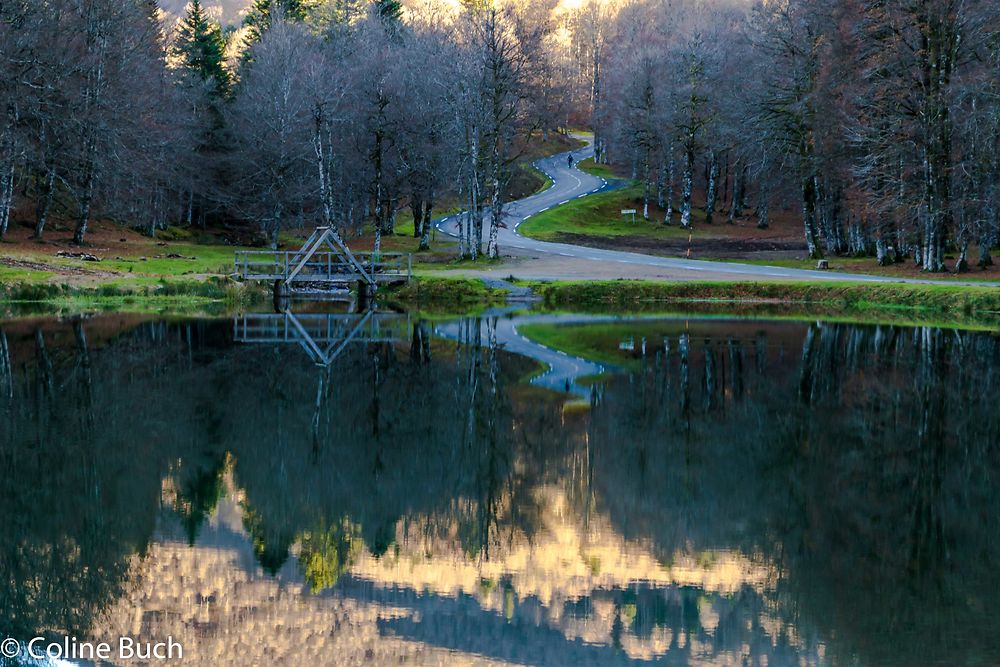 Le lac de la forêt d'Iraty