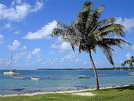 Départ poour l'île aux cerfs