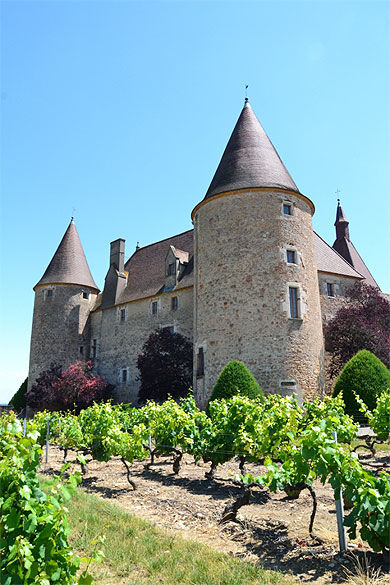 Château et vignes de Corcelles