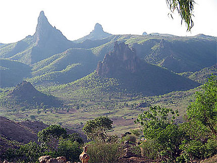 paysage du cameroun