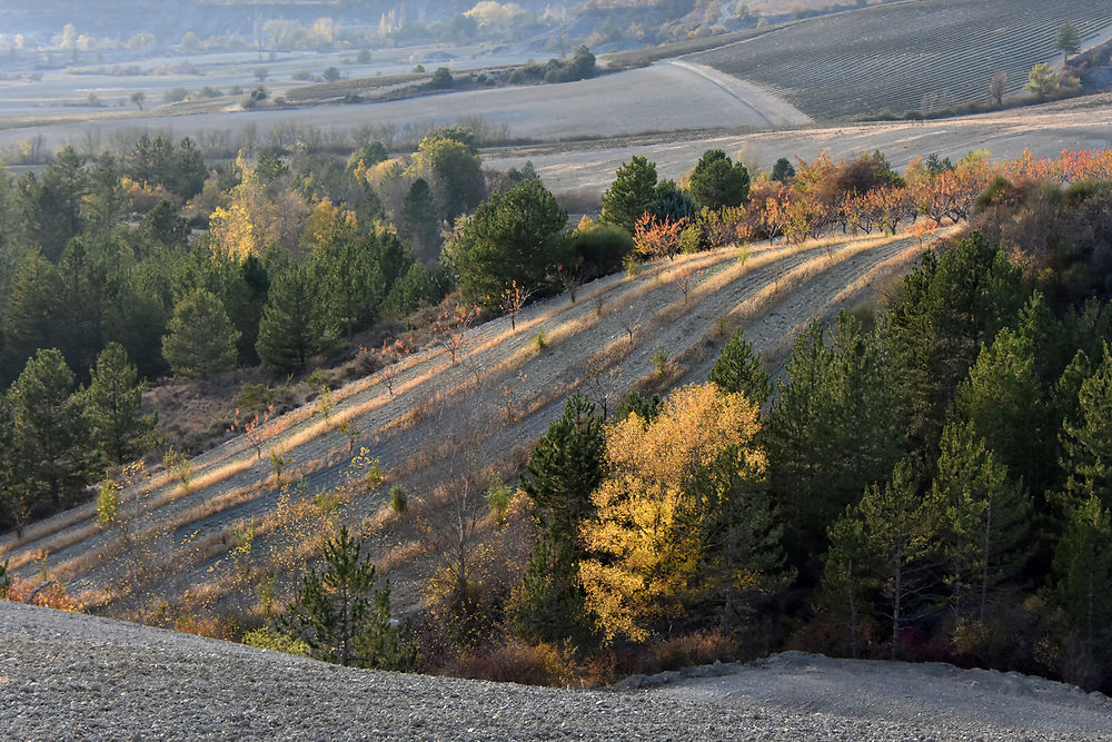 Cultures en Baronnies