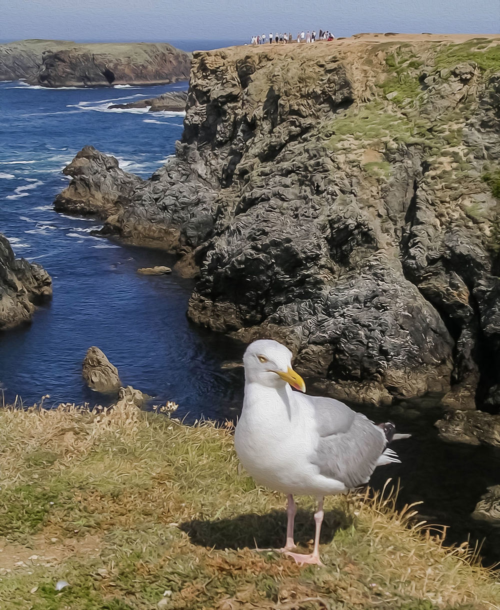 Belle Île en Mer