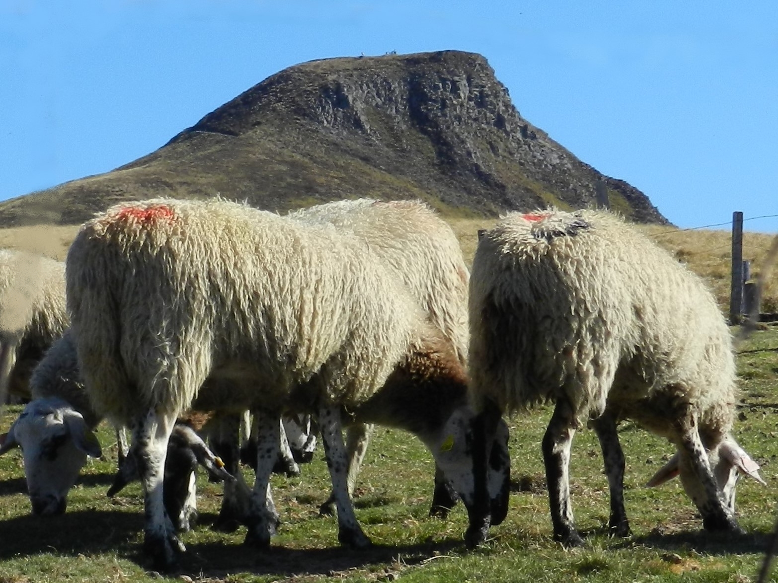La Banne d'Ordanche, Auvergne La Banne d'Ordanche, Auvergne