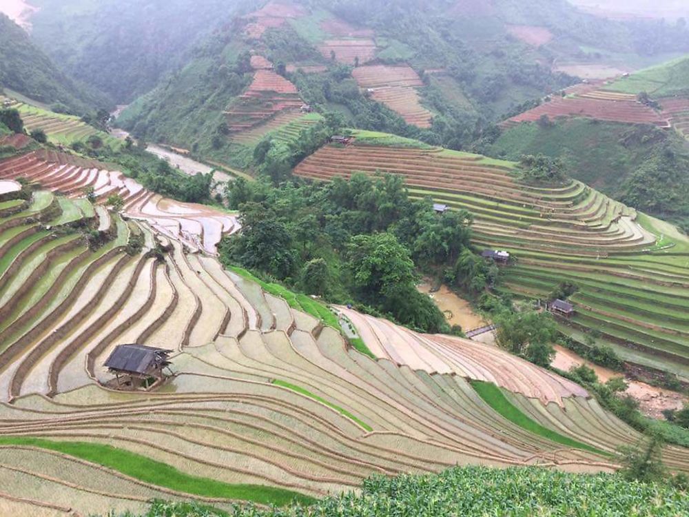 Magnifique passage de Mù Cang Chải