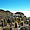 Ile aux cactus au milieu du Salar d'Uyuni