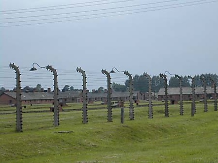 Le camp d'Auschwitz