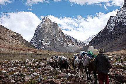 Dans la vallée du Zanskar, étape avant le passage du Shingo La