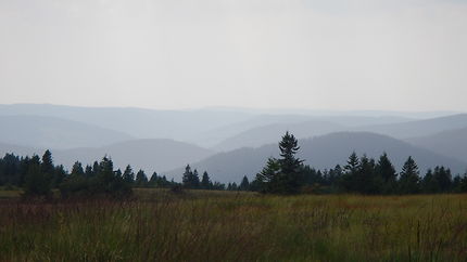 Panorama sur les Vosges, du Gazon du Faing