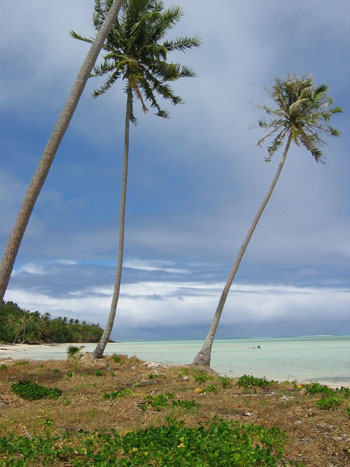 Manihi Manihi