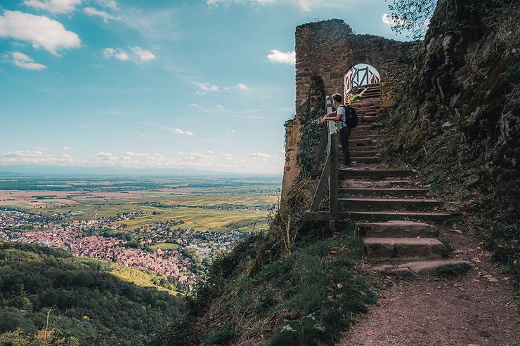 Randonnées et balades en Alsace à la découverte des châteaux forts