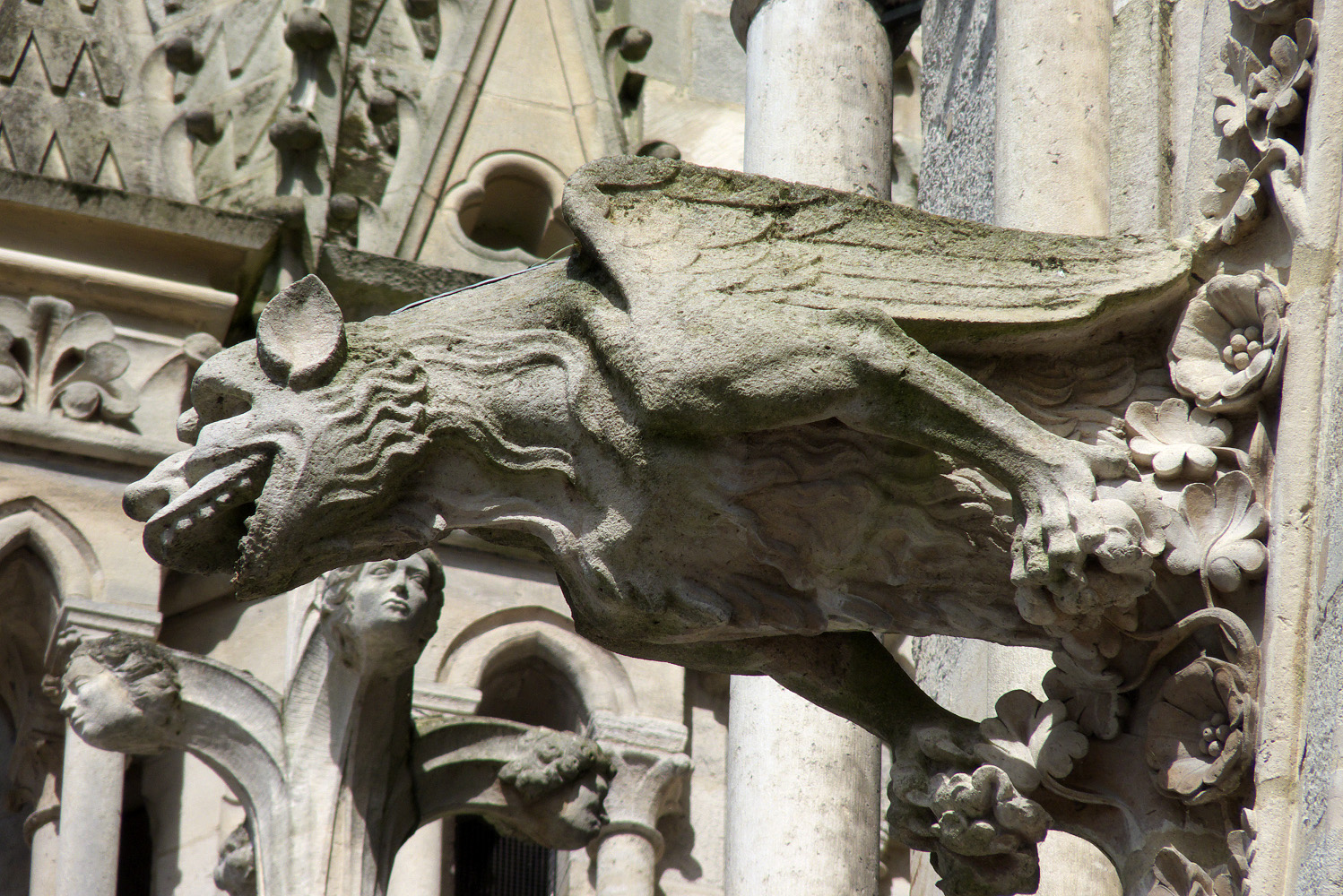 Gargouille  cath  drale Notre-Dame  Amiens Statues Eglise