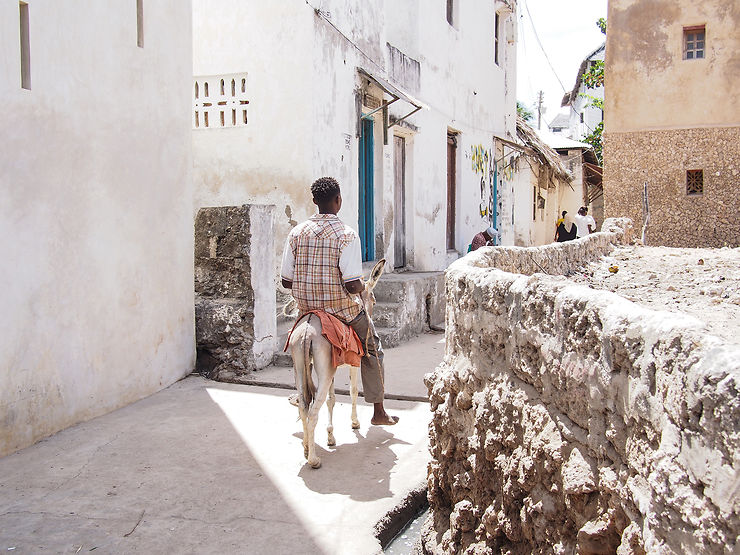 La vieille ville de Lamu