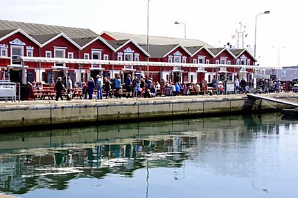 Restaurants et cafés sur le port de Skagen