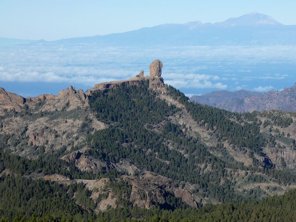 Du sommet de l'ile on voit le Roque Nublo 