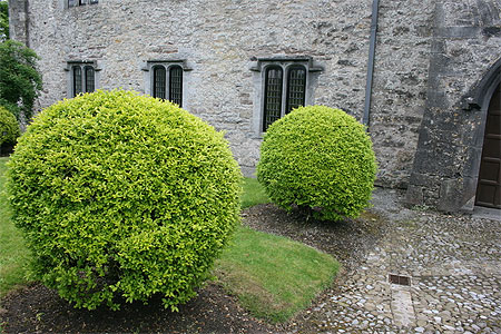 Ormond Castle (Carrick-on-Suir) Ormond Castle (Carrick-on-Suir)