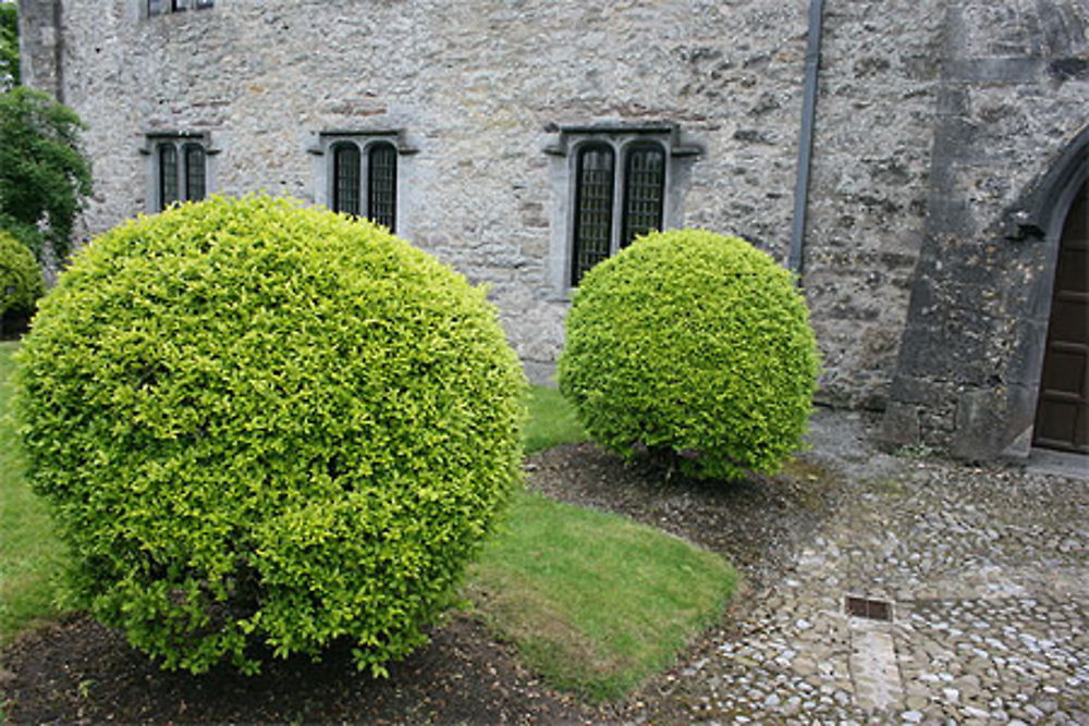 Ormond Castle (Carrick-on-Suir)