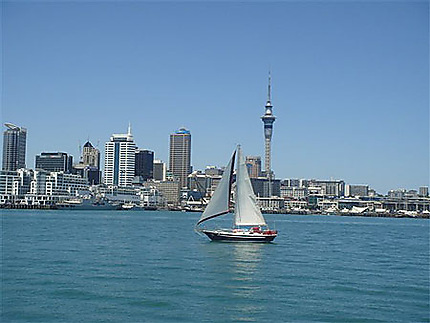 La baie d'Auckland