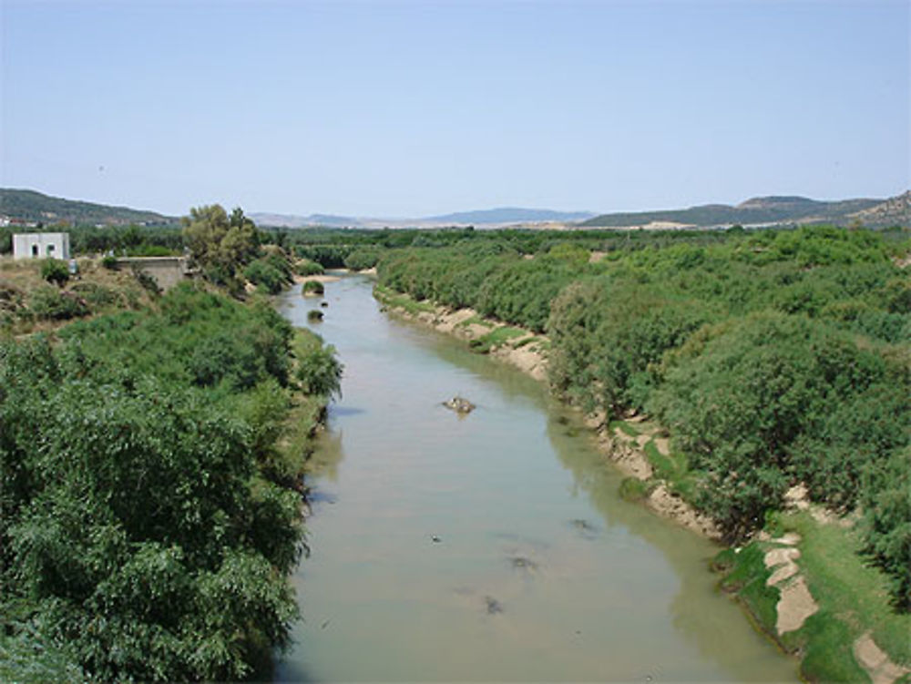 Fleuve Medjerda