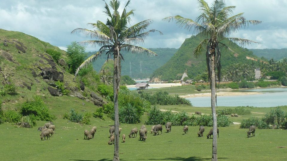 Kuta Lombok Kuta Lombok Nusa Tenggara Indon sie  