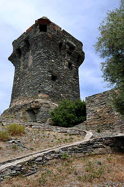 La tour de Nonza