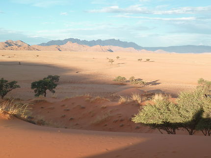 Paysage de dunes en Namibie