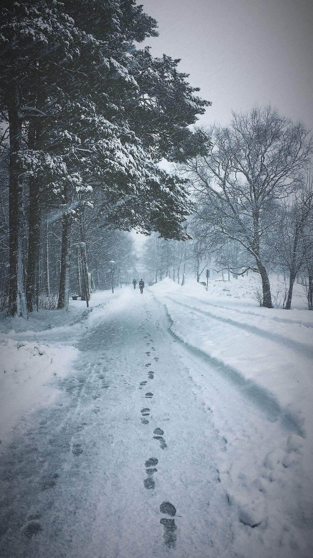 Un hiver à Trondheim.... 