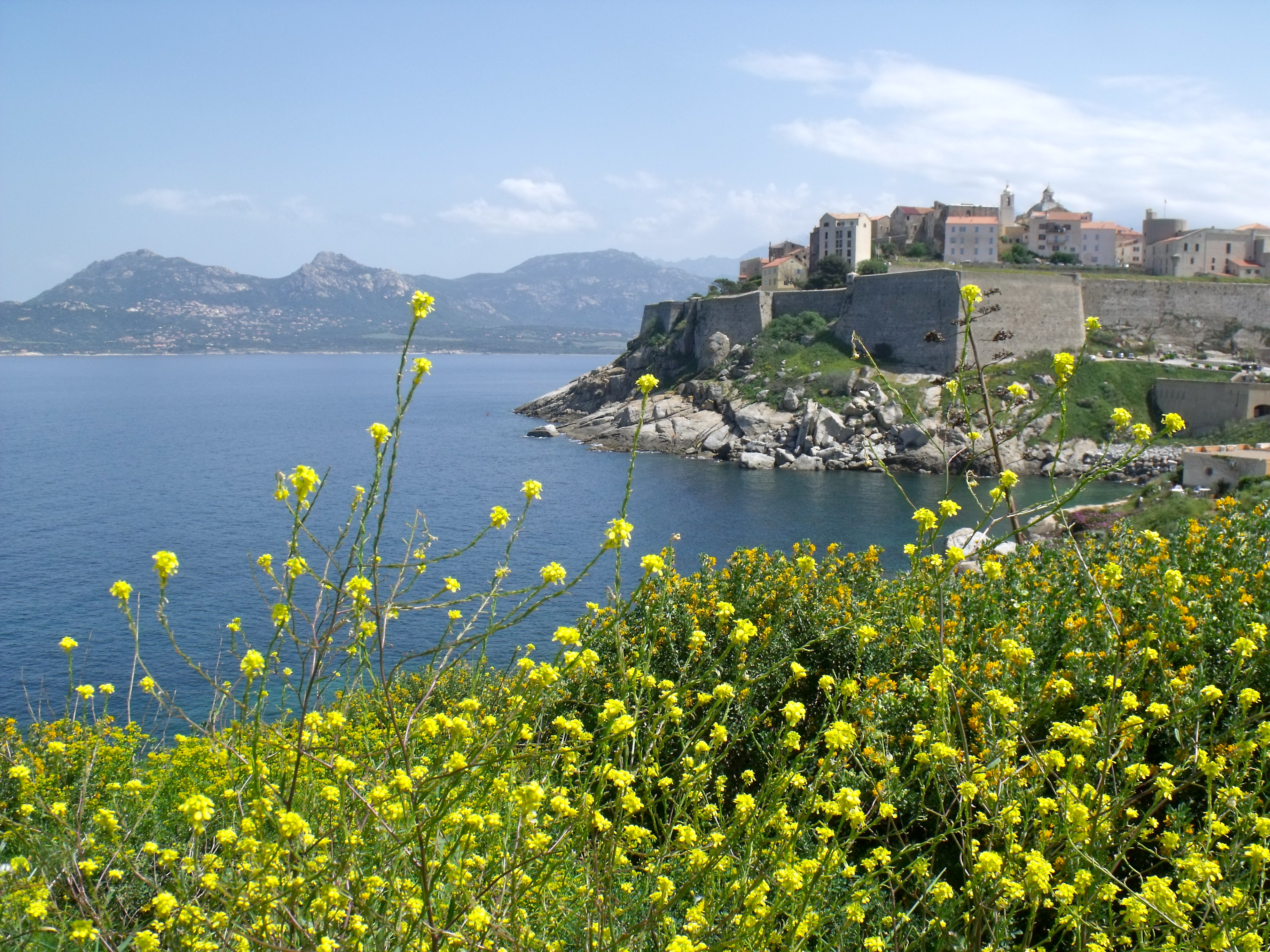 Corse - Calvi Corse - Calvi