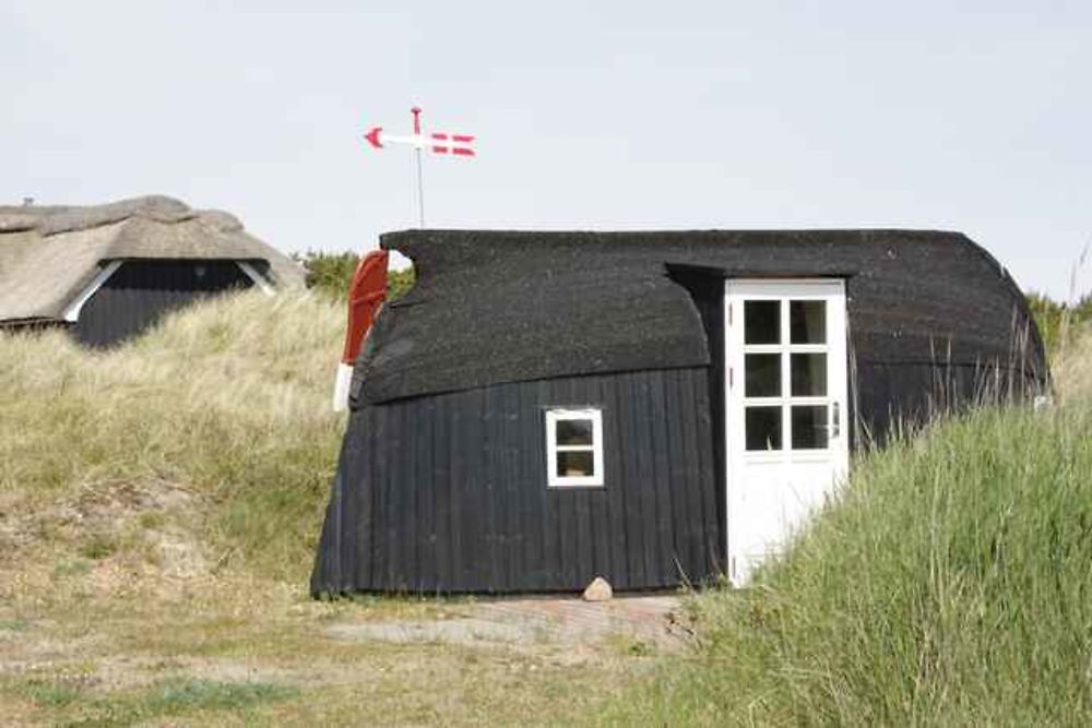 Dans les dunes de Rabjerg Mile (Skagen)