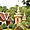 Wat Sisaket  - Vientiane
