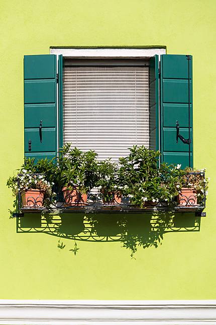 Burano - Un mur couleur jardin