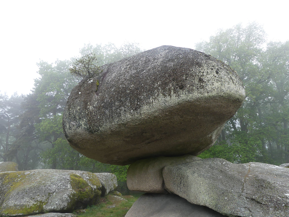 Les Pierres Jaumâtres