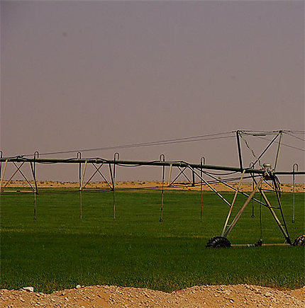 Système d'irrigation sur pivot