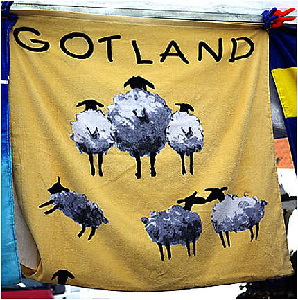 Les moutons de Gotland