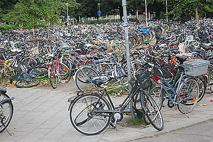 Les parkings à vélos !!